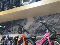 -TREK崔克自行车(徐汇滨江店)