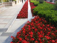 -石家庄市植物园