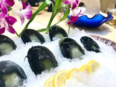 翡翠鲍-海鲨湾海鲜会馆(百家湖1912店)