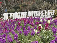 -北外滩滨江绿地