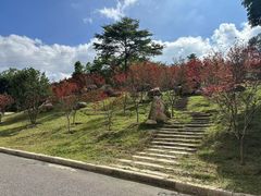 -广州市帽峰山景区