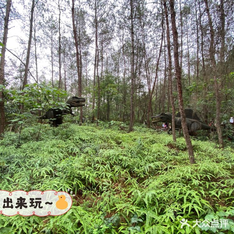 遛娃宝藏地-松鼠部落🐿️推荐!
