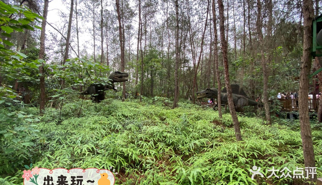 遛娃宝藏地-松鼠部落🐿️推荐！