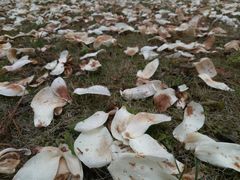 -同济大学(嘉定校区)