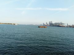 -新金盛·海鲜酒楼(盐田店)