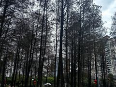 -四海公园(南山区)
