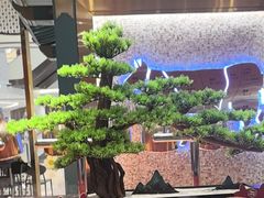 -空之介寿喜烧·和牛放题(恒隆广场店)
