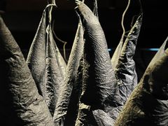 -成都许燎源现代设计艺术博物馆