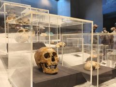 -北京周口店北京人遗址博物馆