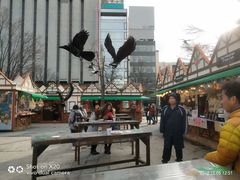 -札幌电视塔