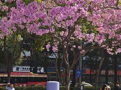 -天河体育中心