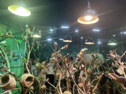 -Zoolung Zoolung动物主题公园(海信广场店)