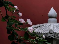 -北京石刻艺术博物馆(五塔寺)