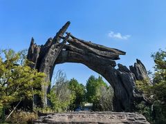 -广富林郊野公园