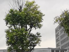 -wakanda瓦坎达咖啡(创享天地店)