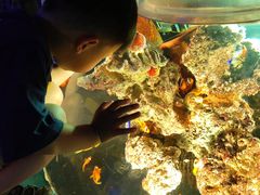 -华夏文旅海洋公园