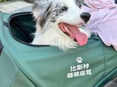 -比斯特上海购物村精品奥特莱斯