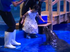 -华夏文旅海洋公园