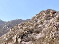 -北京凤凰岭