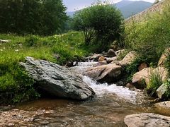 -盛德圆(五台山云龙店)
