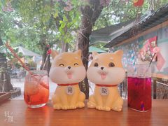 -柴犬高等学院·狗咖·柴犬售卖·宠物训练