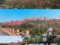 -万兴菜馆(龙华店)