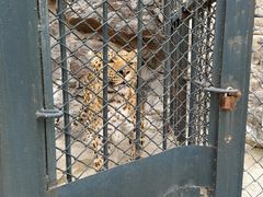 -大连森林动物园