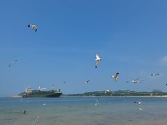 -海驴岛(荣成市)