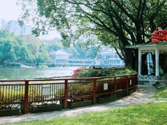 -荔湾湖公园