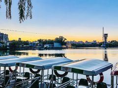 -朝阳公园游乐园