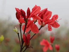 -瑞安圣井山景区