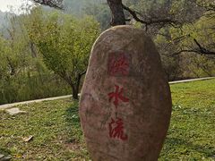 -金龙寺国家森林公园