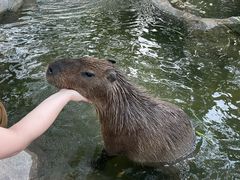 -上海野生动物园