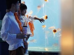 -重庆欢乐海底世界