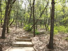 -沈阳辉山风景区