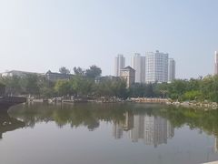 -绿岛公园(滨海新区)