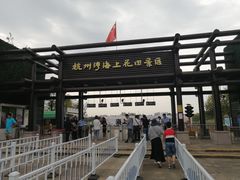 -杭州湾海上花田景区