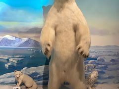 -陕西自然博物馆