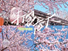 -三里河公园
