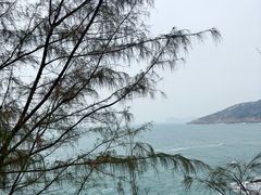 -广东惠东海龟国家级自然保护区