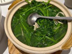 十秒鸡汤碗豆尖-眉州东坡·熊猫主题餐厅(枫蓝店)