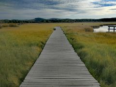 -塞罕坝国家级自然保护区