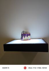 -史云逊养发护发