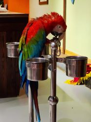 -未来动物城动物主题公园(大悦城店)