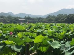 -赤甲皇(仙霞路店)