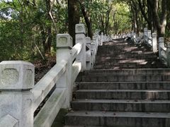 -灵岩山风景区