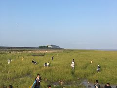 -南汇嘴观海公园