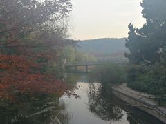 -西湖外事游船(花港观鱼码头)