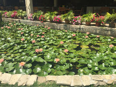 iphone_upload_pic-三亚亚龙湾天域度假酒店