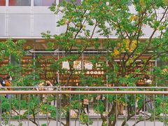 -茑屋书店(天目里店)